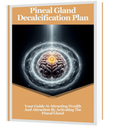 The Last Wish bonus 2